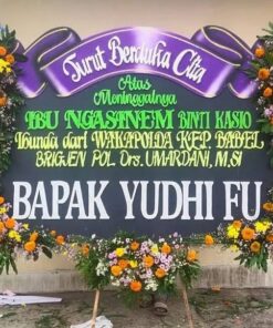 MJK BDC 005